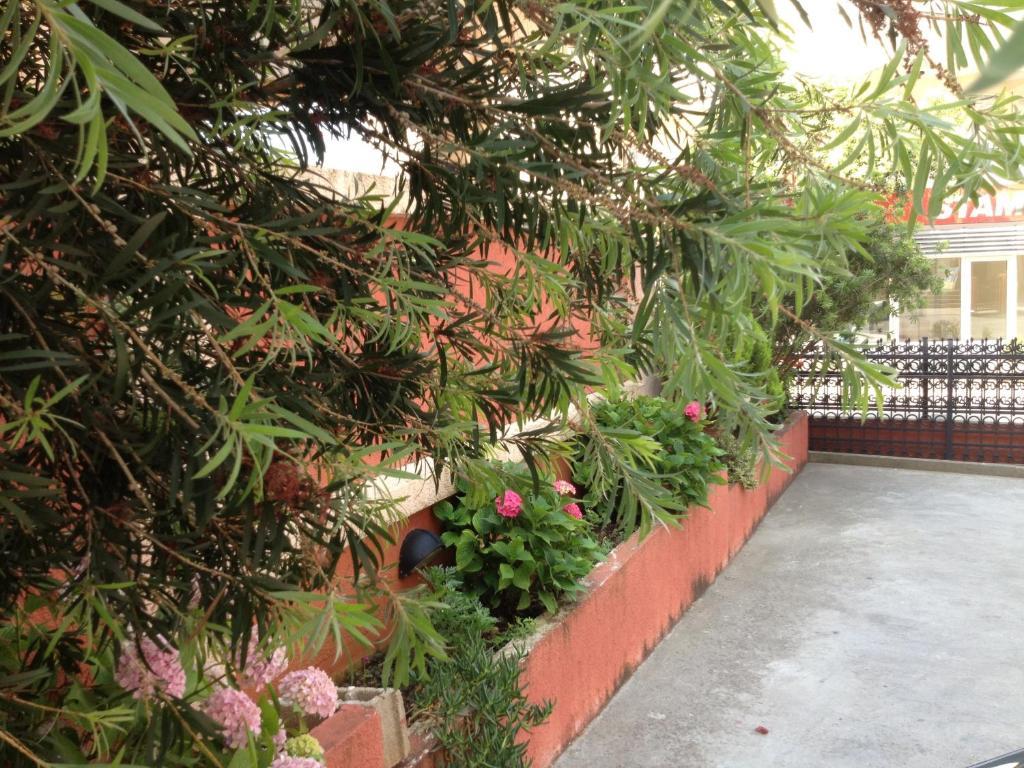 Apartments Boreta บุดวา ภายนอก รูปภาพ
